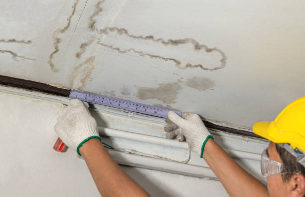 Reliable Mold Remediation contractor in Rochdale, MA by Water Damage Irwin
